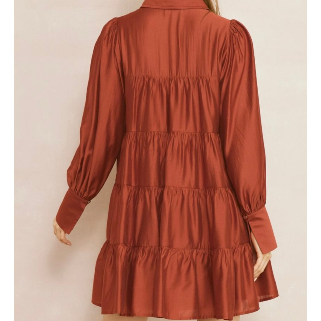 Entro Copper button Up Top