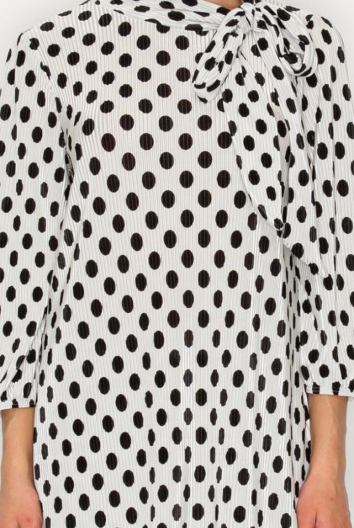 Liza Lou’s White With Black Polka Dots Top With Tie