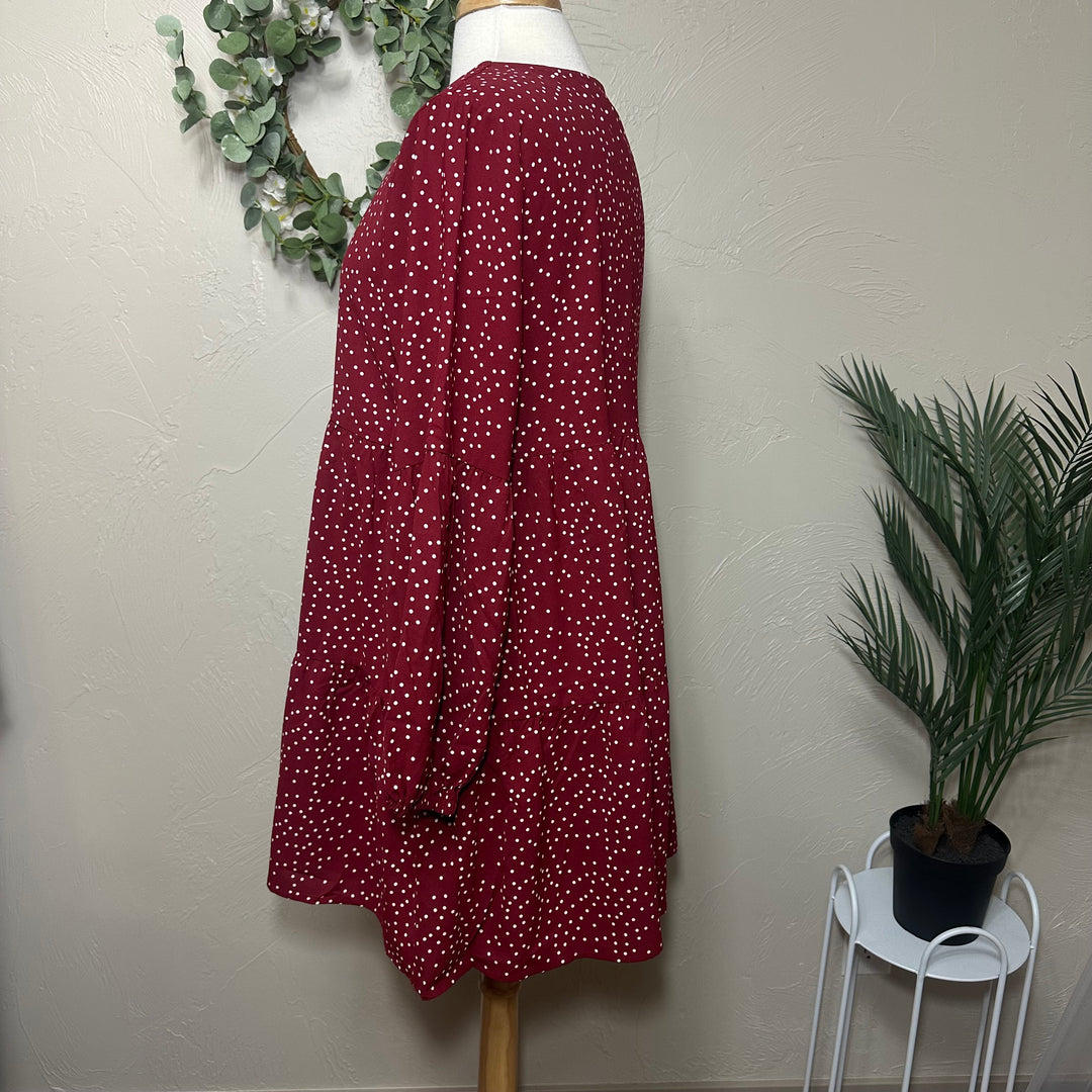 Liza Lou's Polka Dot Tiered V-Neck Tunic Top