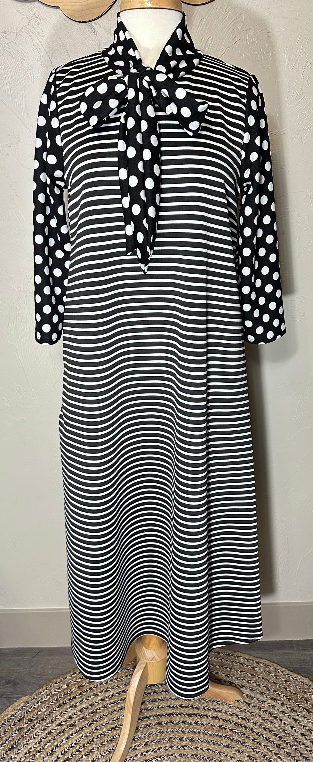 Liza Lou's Park View Striped dress with Polka Dot Contrast